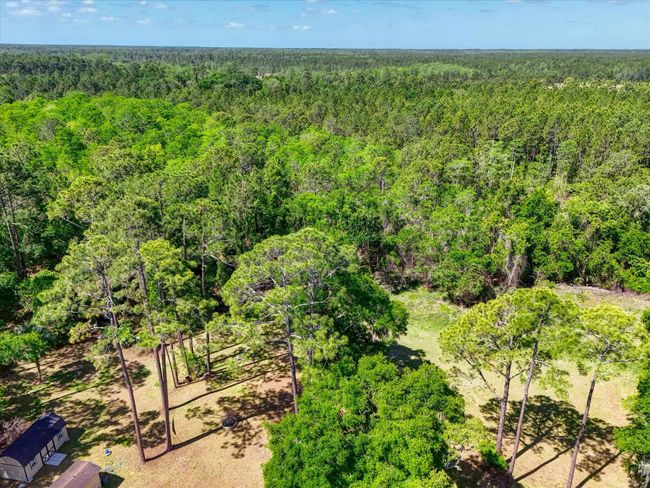 0 Carter Rd, Home with 0 bedrooms, 0 bathrooms and null parking in Saint Augustine FL | Image 4