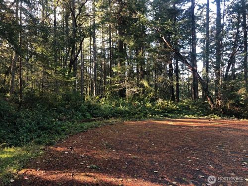 9501 116th Avenue Ct, Anderson Island, WA, 98303 | Card Image