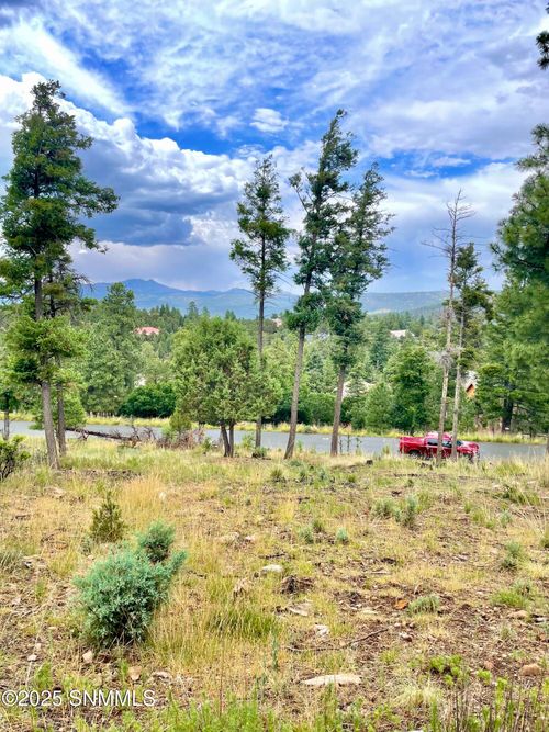 229 Cummings Dr, Ruidoso, NM, 88345-9105 | Card Image