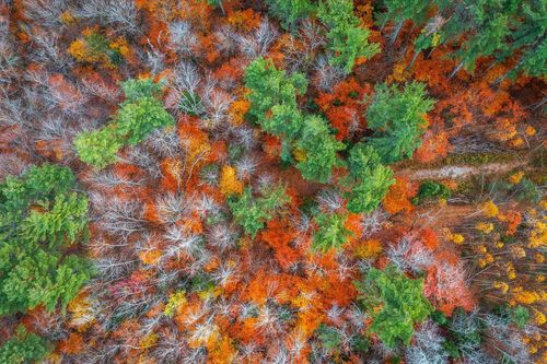 590 Howard Hill Rd, Londonderry, VT, 05148 | Card Image