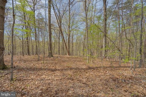 0 Panther Ln, HEDGESVILLE, WV, 25427 | Card Image