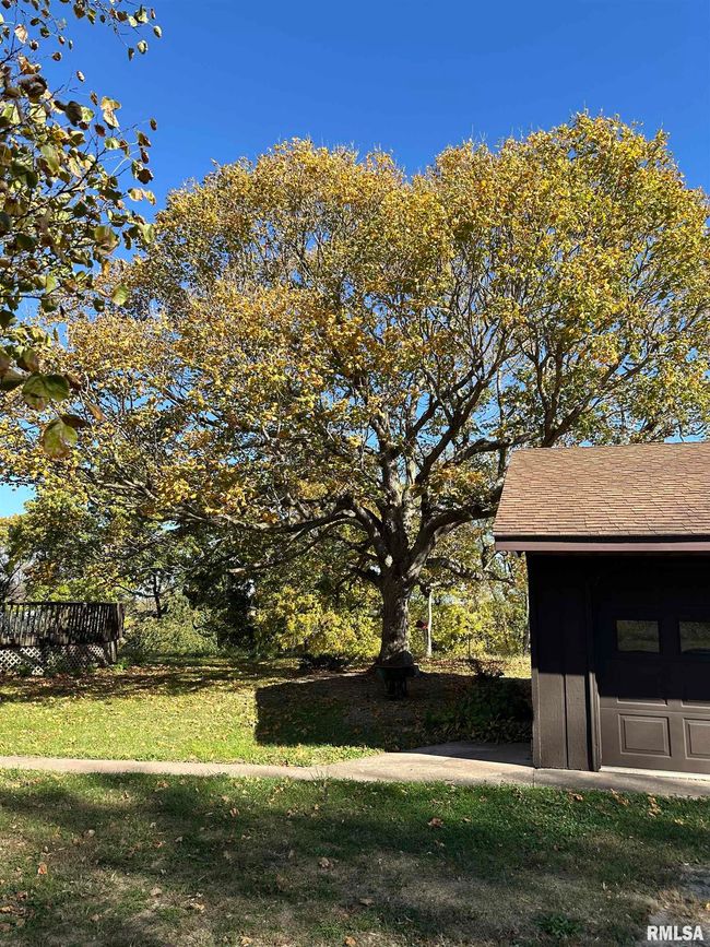 1351 Township Road, House other with 2 bedrooms, 2 bathrooms and null parking in Stronghurst IL | Image 54