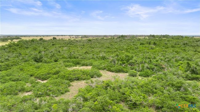 3049 Reservation Rd, Home with 0 bedrooms, 0 bathrooms and null parking in Harper TX | Image 10