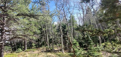 Lot 2560 Grojean Drive, Fort Garland, CO, 81133 | Card Image