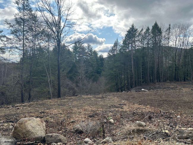 0 Old Swanzey Rd, Home with 0 bedrooms, 0 bathrooms and null parking in Winchester NH | Image 8