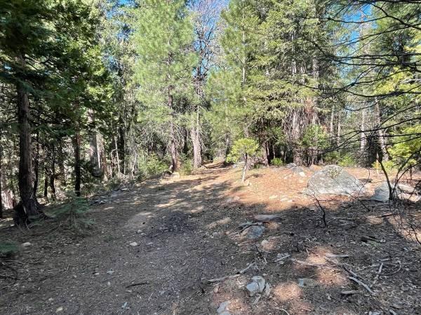Land in Nevada City 5