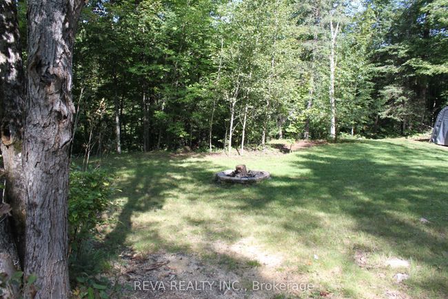 1173 Fortesque Lake Rd, Home with 0 bedrooms, 0 bathrooms and 5 parking in Gooderham ON | Image 9