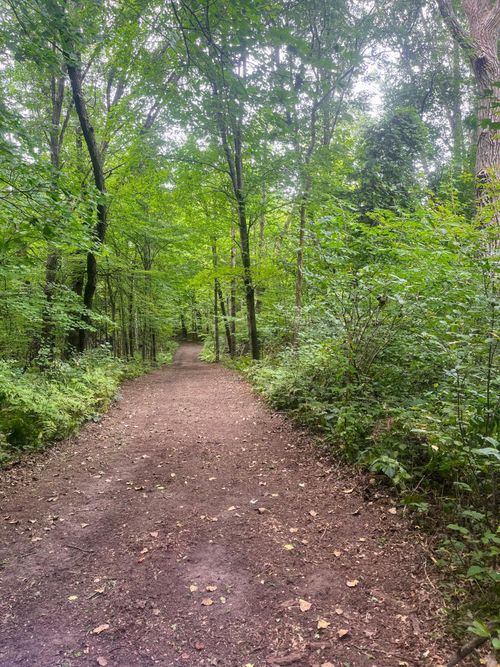 76 470th St, Harris, MN, 55032 | Card Image