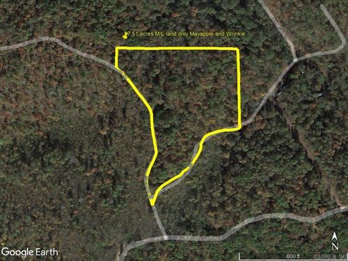 229 Mayapple Rd, Harriet, AR, 72639 | Card Image