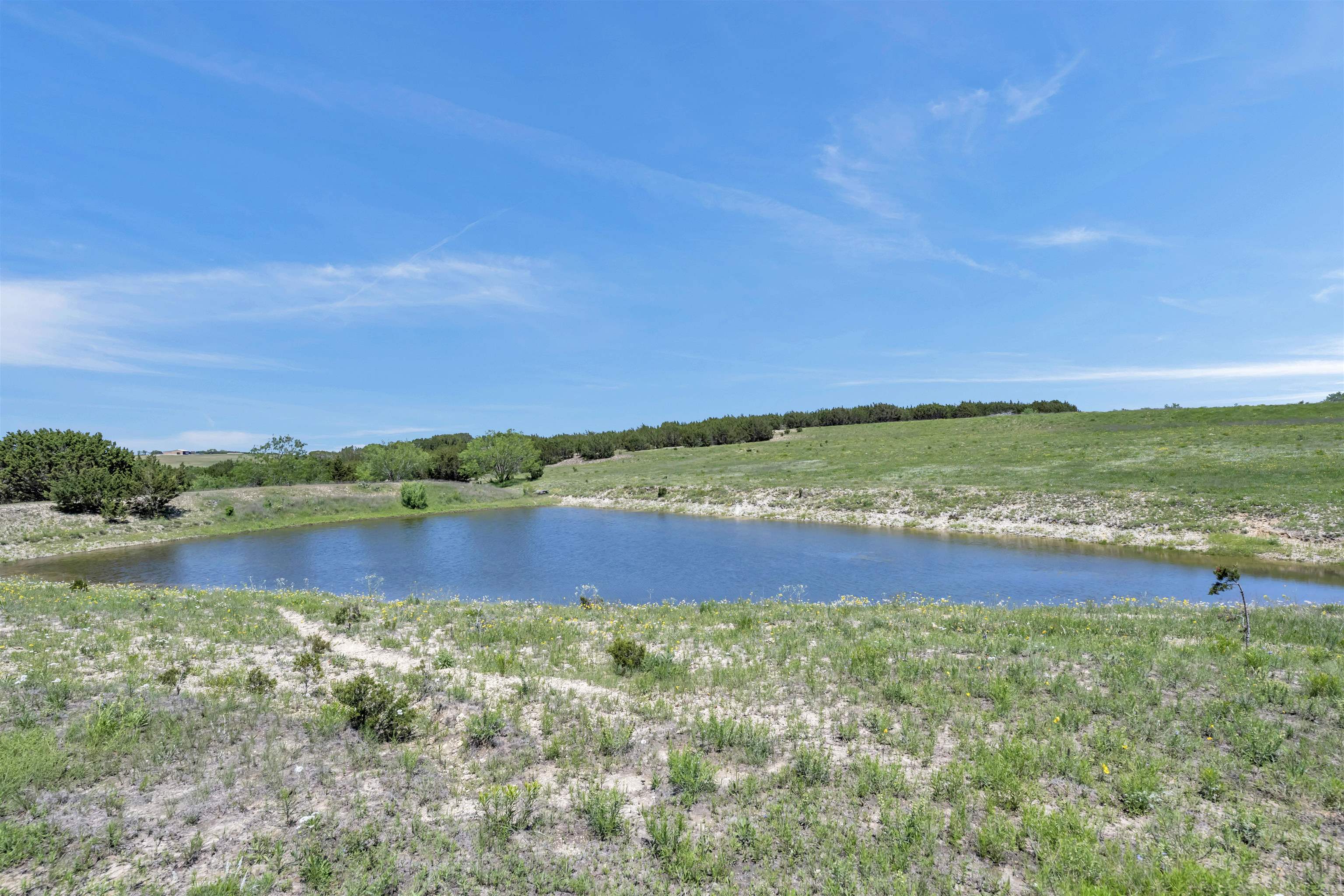 Farm in Burnet 4