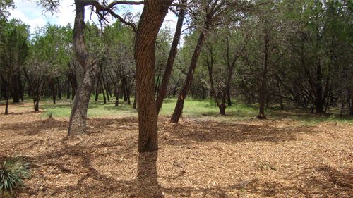 36 Travis Oaks Dr, Marble Falls, TX, 78654 | Card Image