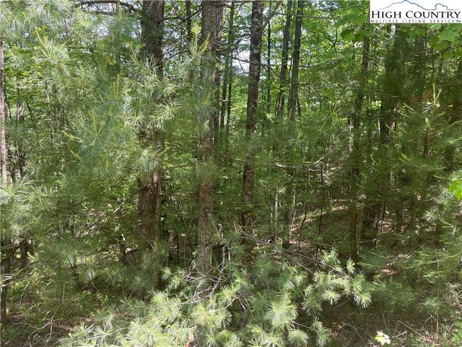 55 Meadow Crest Drive, Home with 0 bedrooms, 0 bathrooms and null parking in Jefferson NC | Image 4