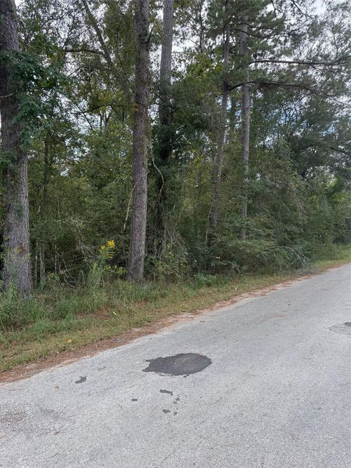 Lot 17 Long Street, Splendora, TX, 77372 | Card Image