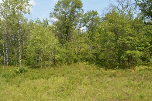 V/L Bear Lake, Charlton Township, MI, 49751 | Card Image