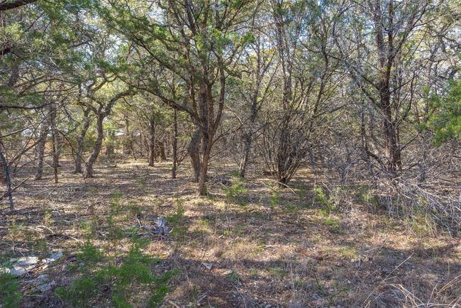 The interior of the lot has a mix of Oak and Juniper trees. | Image 11