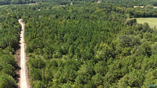 002 Hwy 68, Home with 0 bedrooms, 0 bathrooms and null parking in Gaylesville AL | Image 15