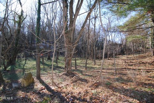 Tbd Oak Hill Estates Lot 2, Abingdon, VA, 24210 | Card Image