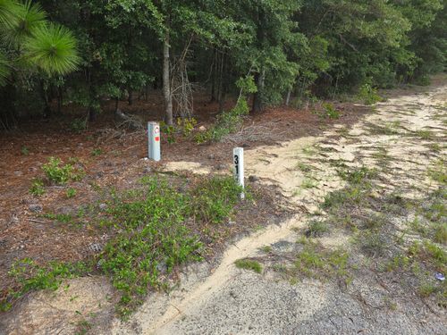 317 Richard Johnson Rd, Martin, SC, 29836-1933 | Card Image
