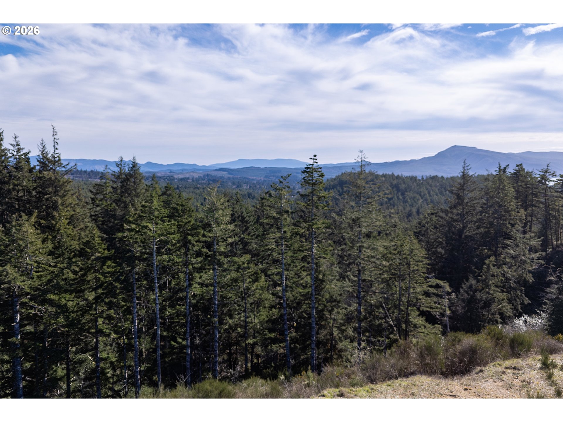 Land in Oceanside 4