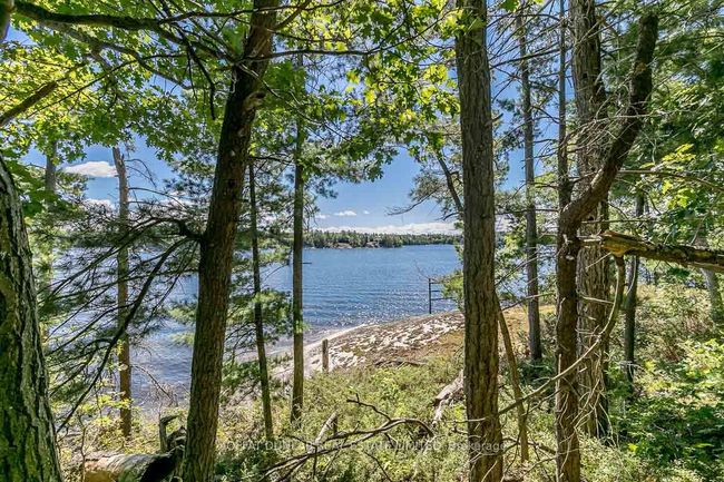 30 Webber Island N/A, Home with 0 bedrooms, 0 bathrooms and null parking in Georgian Bay ON | Image 9