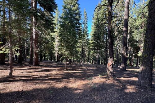 11710 Tundra Dr, Truckee, CA, 96161-6100 | Card Image