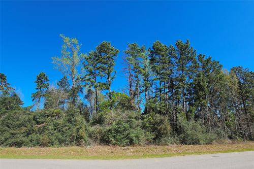 180 Hall Dr S, Montgomery, TX, 77316-3789 | Card Image