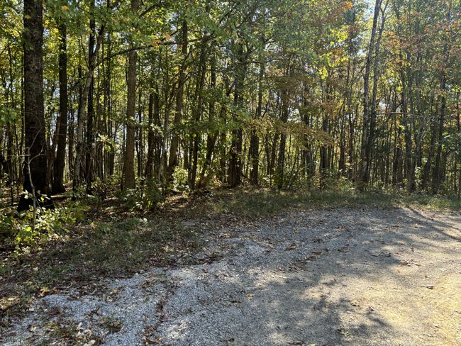 0 Middle Ridge Rd, Home with 0 bedrooms, 0 bathrooms and null parking in Beersheba Springs TN | Image 11