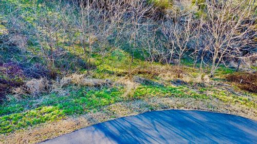 16 Anns Way, Blairsville, GA, 30512 | Card Image