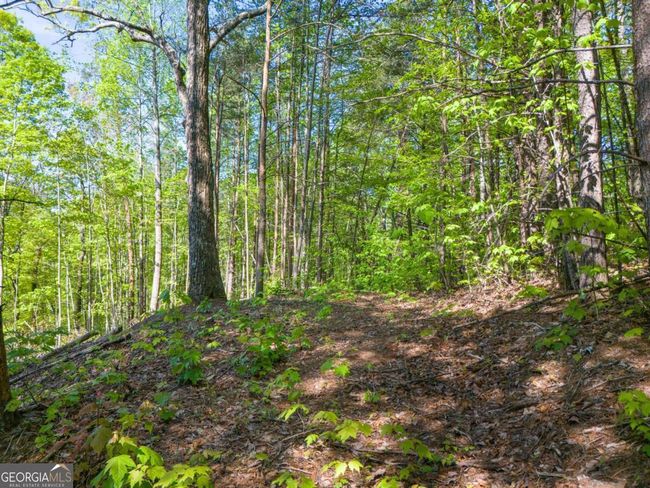 LOT 73 Mountain View Road, Home with 0 bedrooms, 0 bathrooms and null parking in Ellijay GA | Image 12