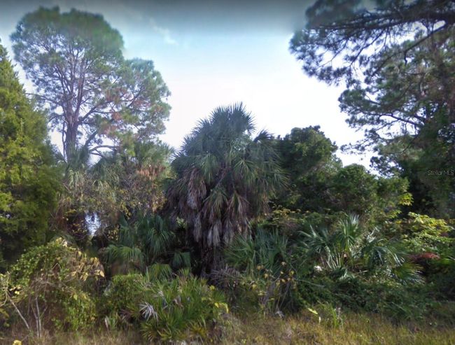 lot 2 Sw 165th Avenue, Home with 0 bedrooms, 0 bathrooms and null parking in Cedar Key FL | Image 4