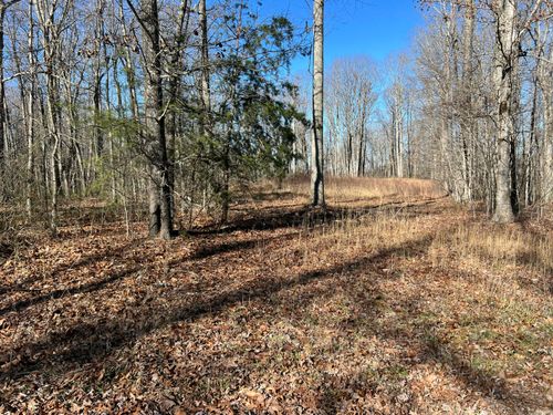 0 Fern Hill Rd, Pikeville, TN, 37367 | Card Image