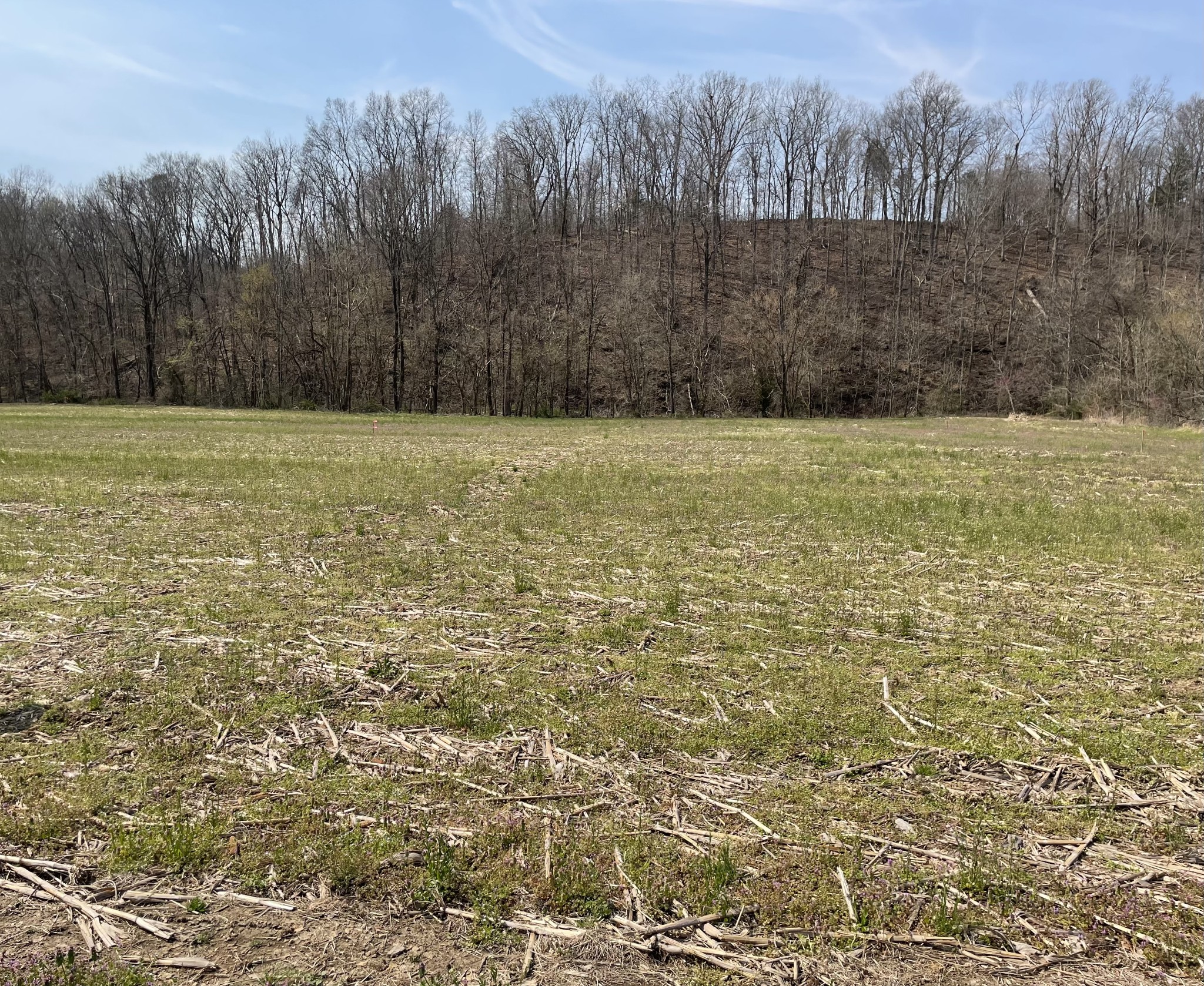 Land in Westmoreland