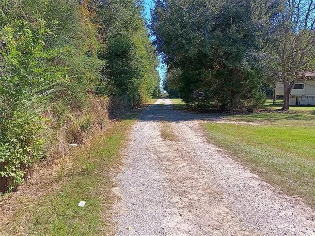 View of street | Image 5