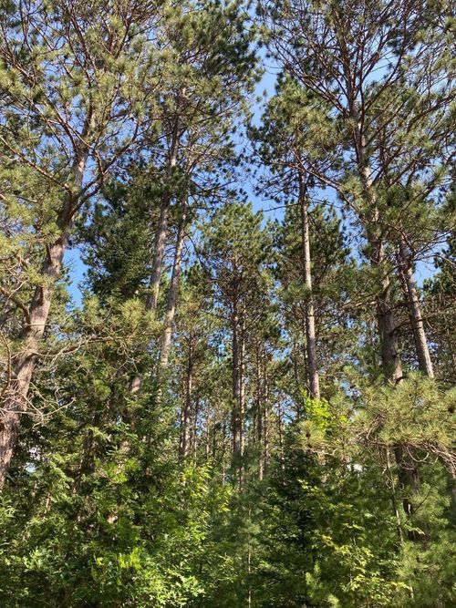 tract-2037-ON Central Ave W, Brantwood, WI, 54513 | Card Image