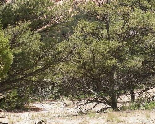 19251 Road 24 2, Dolores, CO, 81323 | Card Image