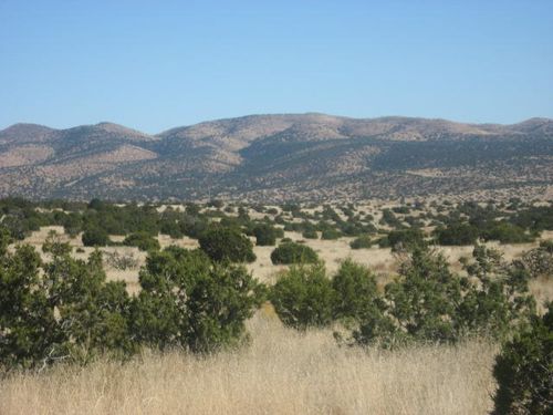 Lot 188 Pinon Springs Rd, Magdalena, NM, 87825 | Card Image