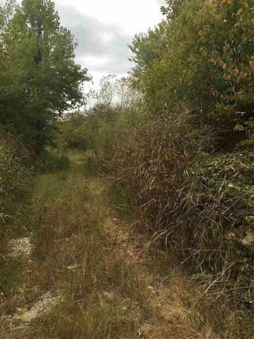 0 Blackburn Ave, Memphis, TN, 37501 | Card Image