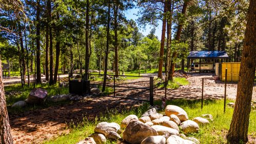 25 Mountain View Rd, Story, WY, 82842-5031 | Card Image