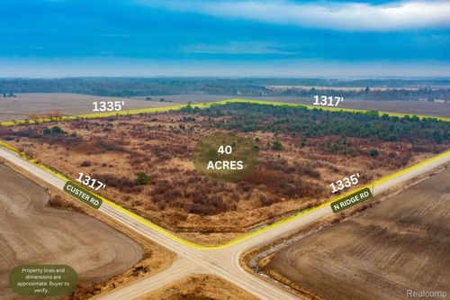 Vacant Land Custer Road, Sandusky, MI, 48419 | Card Image