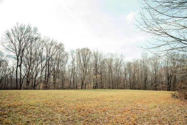 13300 Scottsville Rd, Home with 0 bedrooms, 0 bathrooms and null parking in Lucas KY | Image 13