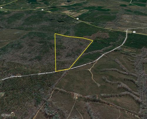 PARCEL 1A James Posey Rd, Junction City, GA, 31812-3201 | Card Image
