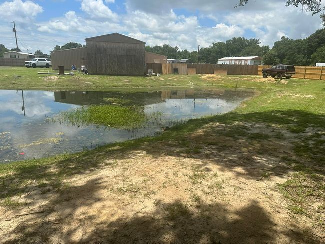Pond | Image 16