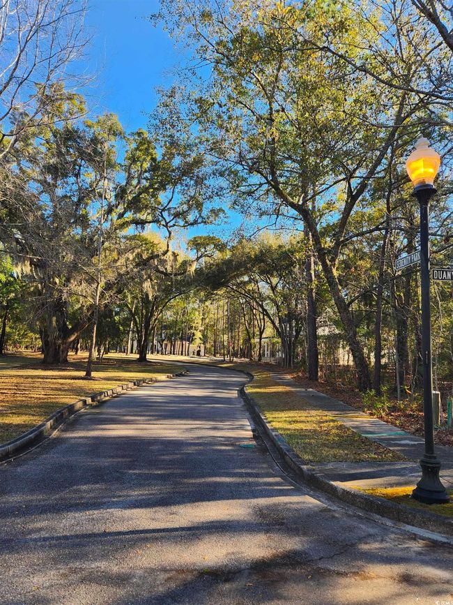 20 Serenity Park Ln, Home with 0 bedrooms, 0 bathrooms and null parking in Georgetown SC | Image 7