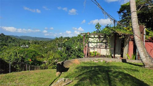 lote-1-Bo. Guaraguao Sector Sanchez Mulero, Bayamon, PR, 00956 | Card Image