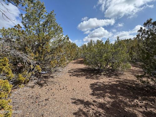 3187 Tbd, Vernon, AZ, 85940 | Card Image