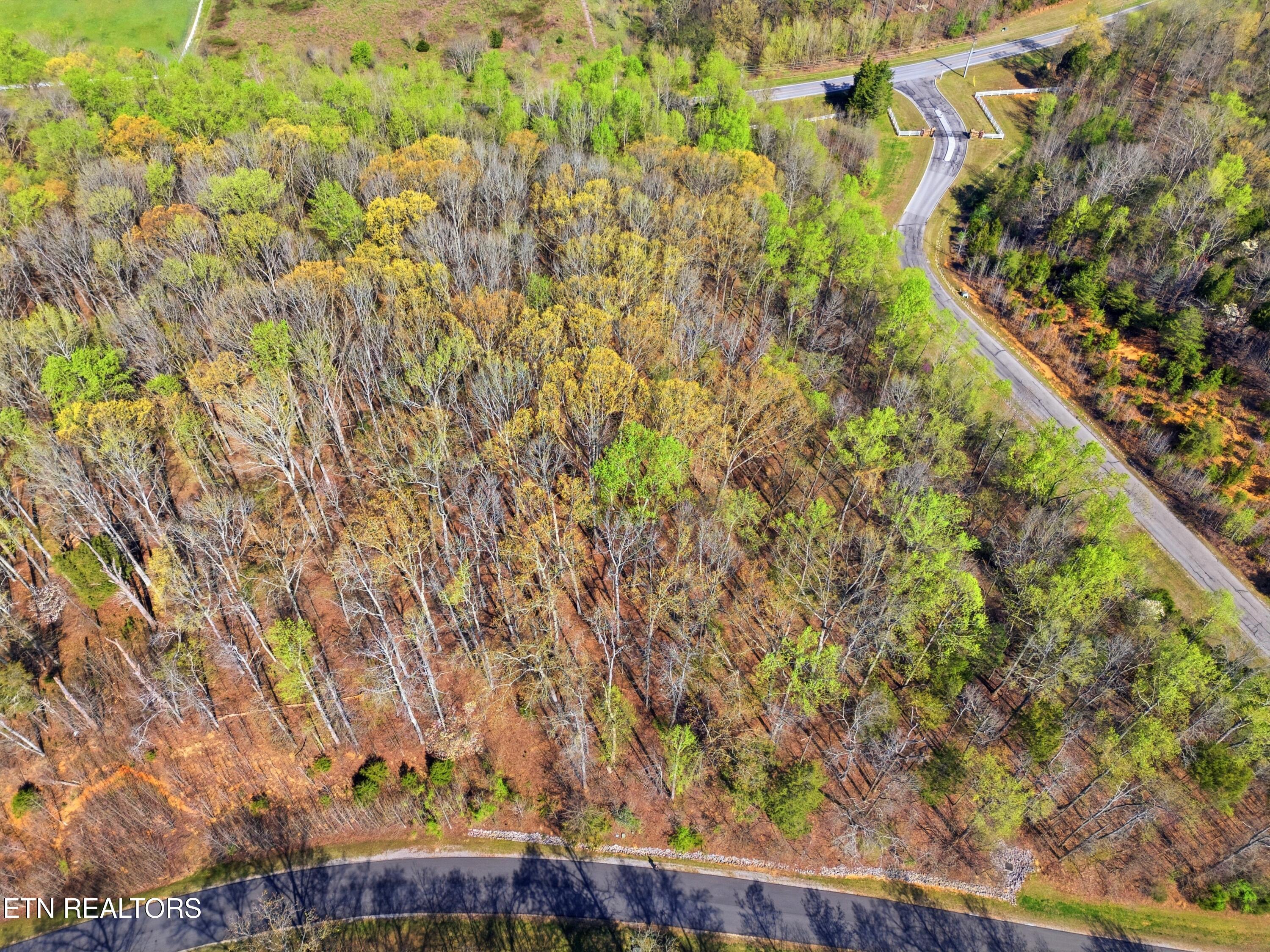 Land in Rockwood 5