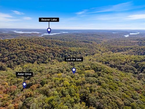 Lot 261 Aster Dr, Rogers, AR, 72756 | Card Image