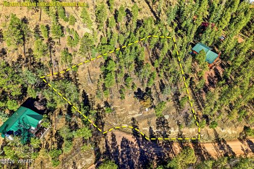12 W Pergatory Dr, Alpine, AZ, 85920 | Card Image