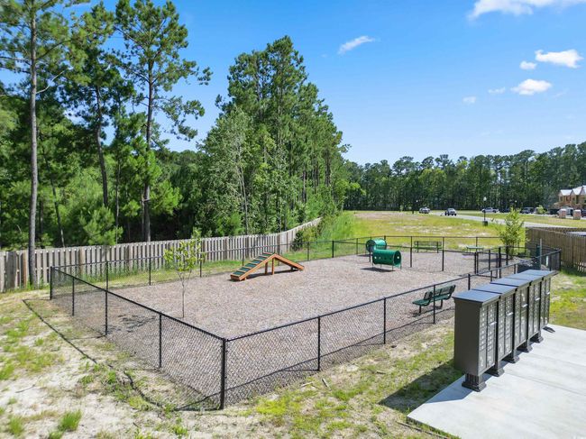 View of community with a dog friendly area | Image 5