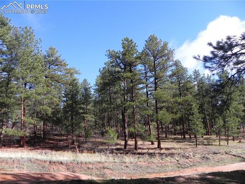 4467 Delaware Dr, Larkspur, CO, 80118-8405 | Card Image